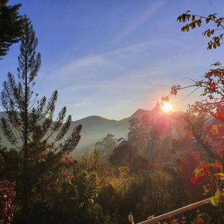 Princess Of Dickoya Homestay Hatton Ngoại thất bức ảnh