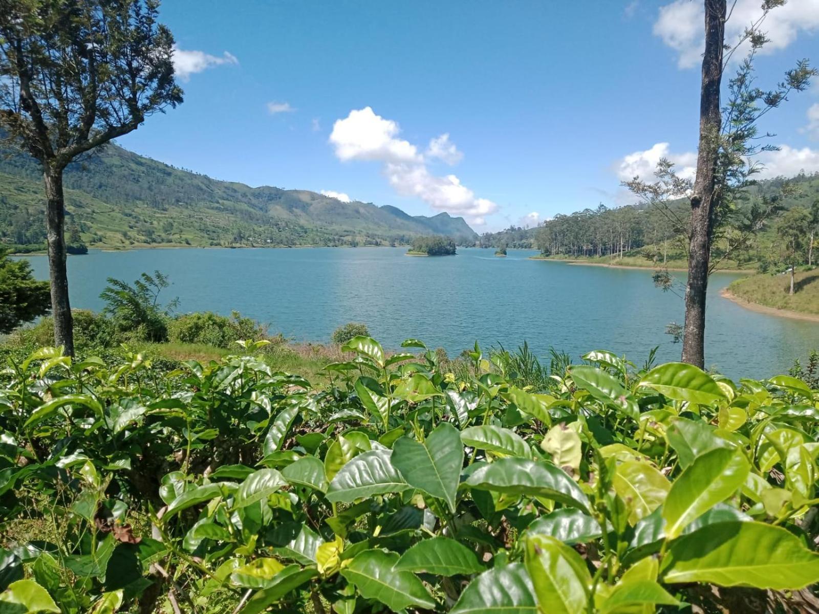 Princess Of Dickoya Homestay Hatton Phòng bức ảnh